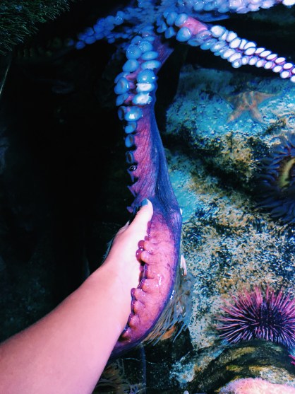 Processed with VSCO with c1 preset