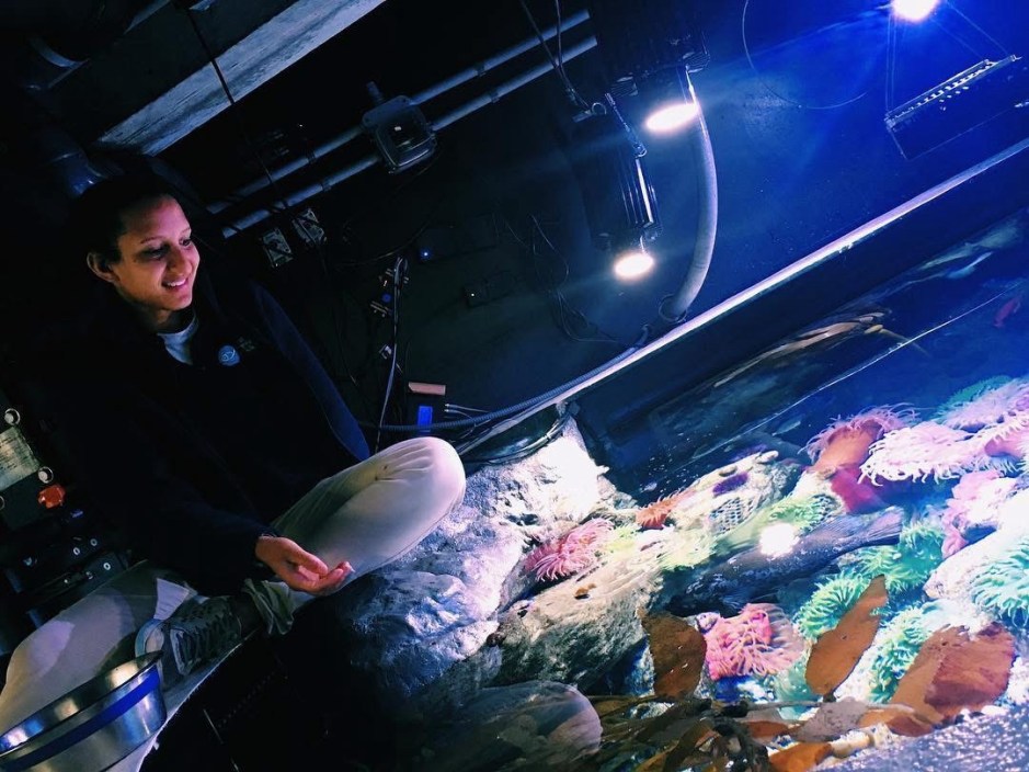 A person sitting beside a colorful marine exhibit filled with various sea creatures, illuminated by soft lights.